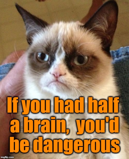 Grumpy Cat Meme | If you had half a brain,  you'd be dangerous | image tagged in memes,grumpy cat | made w/ Imgflip meme maker