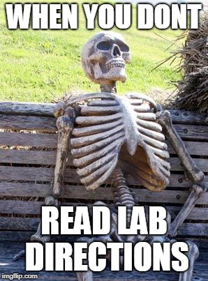 Waiting Skeleton | WHEN YOU DONT; READ LAB DIRECTIONS | image tagged in memes,waiting skeleton | made w/ Imgflip meme maker