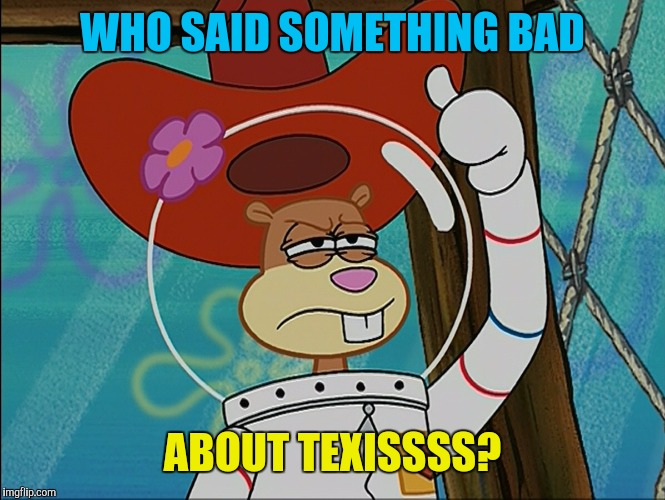 Sandy Cheeks | WHO SAID SOMETHING BAD ABOUT TEXISSSS? | image tagged in sandy cheeks | made w/ Imgflip meme maker