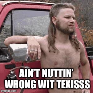 almost redneck | AIN’T NUTTIN’ WRONG WIT TEXISSS | image tagged in almost redneck | made w/ Imgflip meme maker