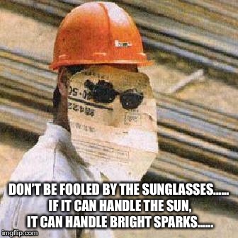 What a genius...... | DON’T BE FOOLED BY THE SUNGLASSES...... IF IT CAN HANDLE THE SUN, IT CAN HANDLE BRIGHT SPARKS...... | image tagged in funny,memes | made w/ Imgflip meme maker
