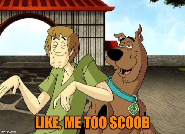 Stoned Scooby Doo and Shaggy | LIKE, ME TOO SCOOB | image tagged in stoned scooby doo and shaggy | made w/ Imgflip meme maker