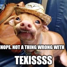 NOPE. NOT A THING WRONG WITH TEXISSSS | made w/ Imgflip meme maker