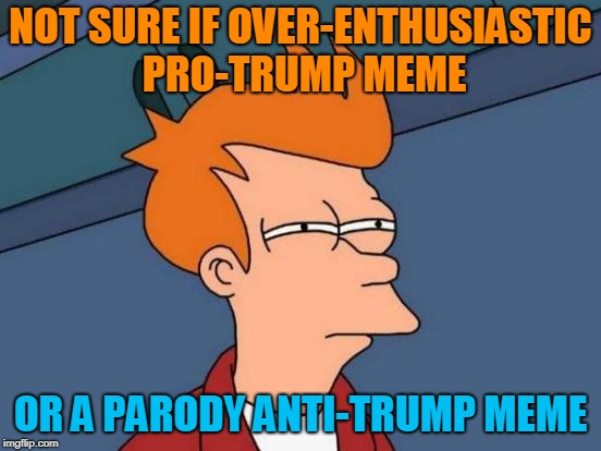 Futurama Fry Meme | NOT SURE IF OVER-ENTHUSIASTIC PRO-TRUMP MEME OR A PARODY ANTI-TRUMP MEME | image tagged in memes,futurama fry | made w/ Imgflip meme maker