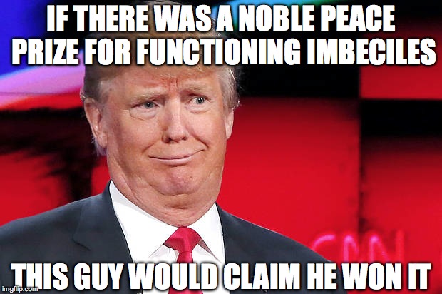 Trump another stupid look on his face | IF THERE WAS A NOBLE PEACE PRIZE FOR FUNCTIONING IMBECILES THIS GUY WOULD CLAIM HE WON IT | image tagged in trump another stupid look on his face | made w/ Imgflip meme maker