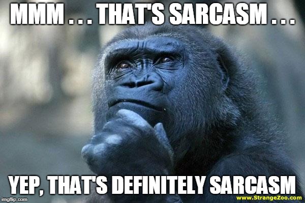 Deep Thoughts | MMM . . . THAT'S SARCASM . . . YEP, THAT'S DEFINITELY SARCASM | image tagged in deep thoughts | made w/ Imgflip meme maker