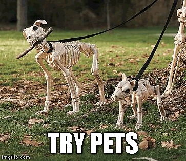 TRY PETS | made w/ Imgflip meme maker