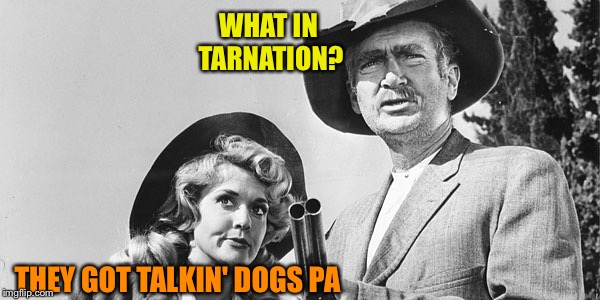 Beverly Hillbillies | WHAT IN TARNATION? THEY GOT TALKIN' DOGS PA | image tagged in beverly hillbillies | made w/ Imgflip meme maker