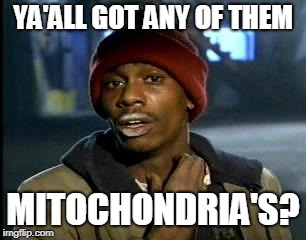 Yall Got Any More Of | YA'ALL GOT ANY OF THEM; MITOCHONDRIA'S? | image tagged in yall got any more of | made w/ Imgflip meme maker