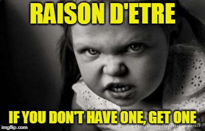 Reason for Existing: What's Yours? | RAISON D'ETRE; IF YOU DON'T HAVE ONE, GET ONE | image tagged in alice malice,philosophy,life,existence | made w/ Imgflip meme maker