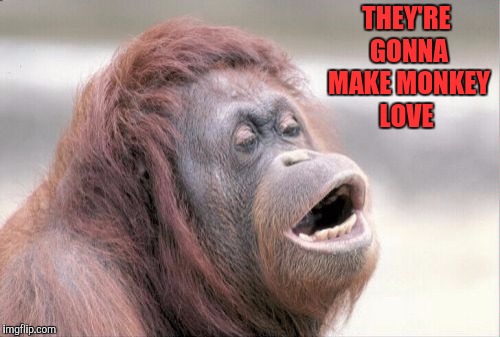 Monkey OOH Meme | THEY'RE GONNA MAKE MONKEY LOVE | image tagged in memes,monkey ooh | made w/ Imgflip meme maker