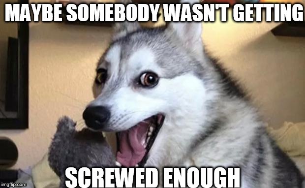 Pun dog - husky | MAYBE SOMEBODY WASN'T GETTING SCREWED ENOUGH | image tagged in pun dog - husky | made w/ Imgflip meme maker