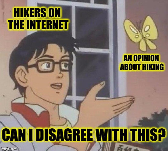 Is This A Pigeon | HIKERS ON THE INTERNET; AN OPINION ABOUT HIKING; CAN I DISAGREE WITH THIS? | image tagged in memes,is this a pigeon | made w/ Imgflip meme maker