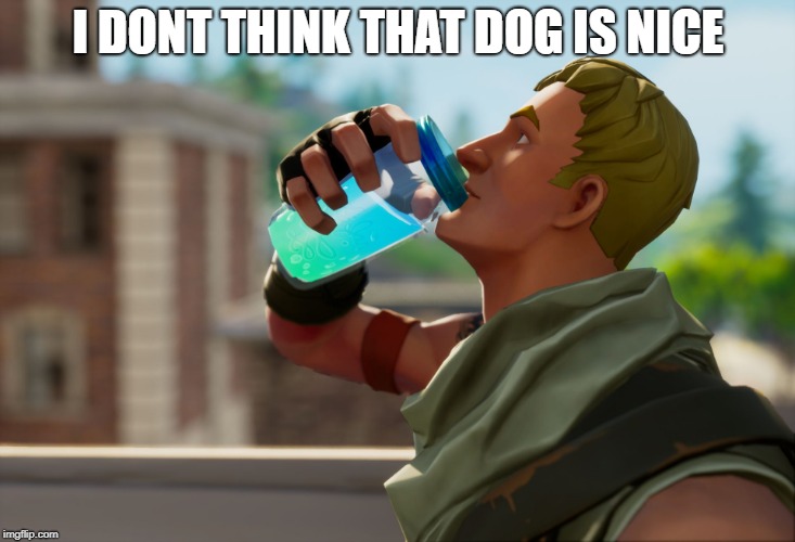 Fortnite the frog | I DONT THINK THAT DOG IS NICE | image tagged in fortnite the frog | made w/ Imgflip meme maker