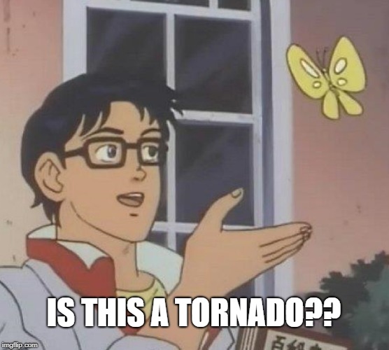 Is This A Pigeon | IS THIS A TORNADO?? | image tagged in memes,is this a pigeon | made w/ Imgflip meme maker