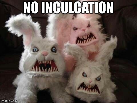 NO INCULCATION | made w/ Imgflip meme maker