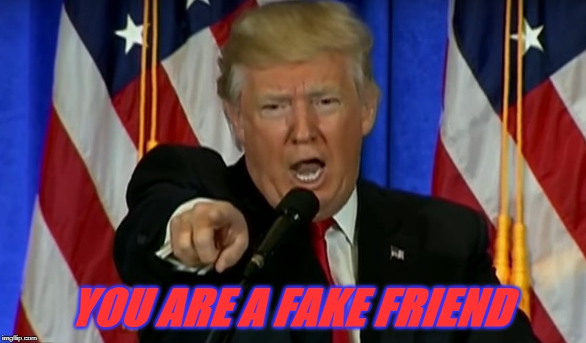 Trumps Friends |  YOU ARE A FAKE FRIEND | image tagged in donald trump,friends,the donald,trump | made w/ Imgflip meme maker