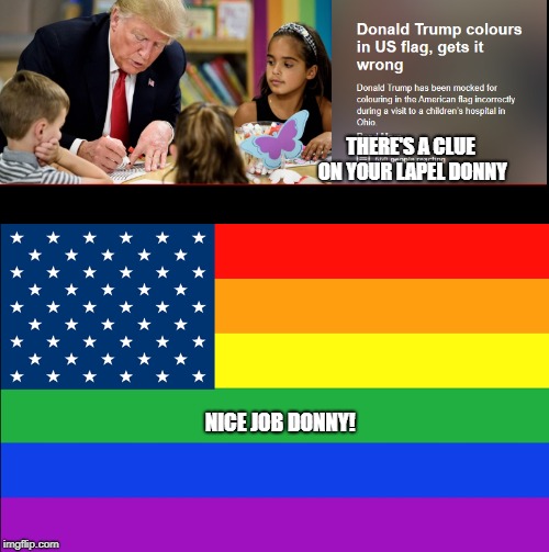 Donny's new flag for the nation | THERE'S A CLUE ON YOUR LAPEL DONNY; NICE JOB DONNY! | image tagged in donald trump,trump,president trump | made w/ Imgflip meme maker