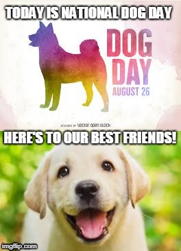 National Dog Day | TODAY IS NATIONAL DOG DAY; HERE'S TO OUR BEST FRIENDS! | image tagged in dogs | made w/ Imgflip meme maker