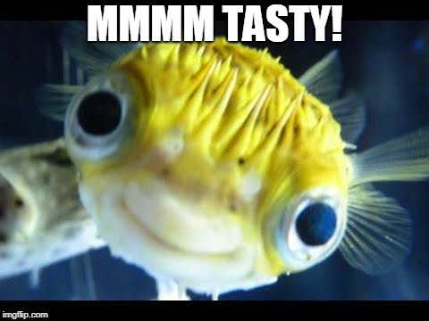 Fish | MMMM TASTY! | image tagged in fish | made w/ Imgflip meme maker