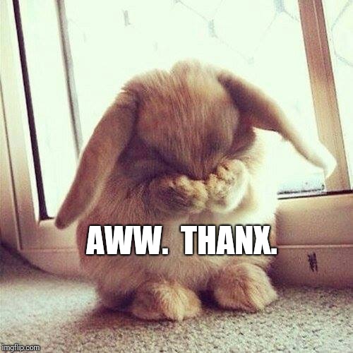Shy rabbit | AWW.  THANX. | image tagged in shy rabbit | made w/ Imgflip meme maker
