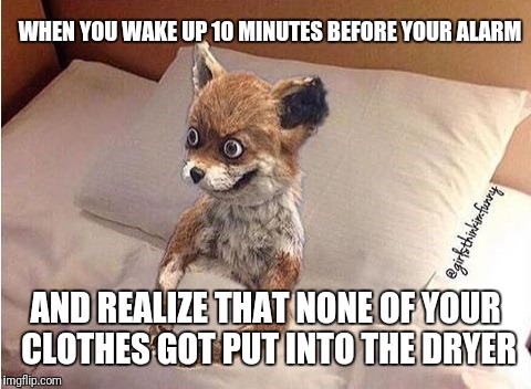 Fox in bed | WHEN YOU WAKE UP 10 MINUTES BEFORE YOUR ALARM; AND REALIZE THAT NONE OF YOUR CLOTHES GOT PUT INTO THE DRYER | image tagged in fox in bed | made w/ Imgflip meme maker