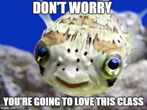 Happy Fish | DON'T WORRY; YOU'RE GOING TO LOVE THIS CLASS | image tagged in happy fish | made w/ Imgflip meme maker