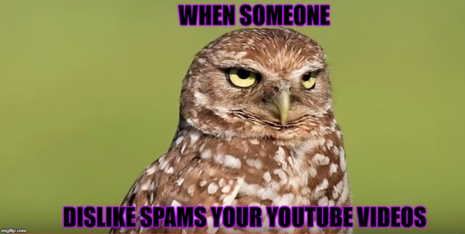 This recently happened to me. It's the same person with 12+ accounts disliking my videos  | WHEN SOMEONE; DISLIKE SPAMS YOUR YOUTUBE VIDEOS | image tagged in death stare owl,memes,doctordoomsday180,youtube,dislike,spam | made w/ Imgflip meme maker
