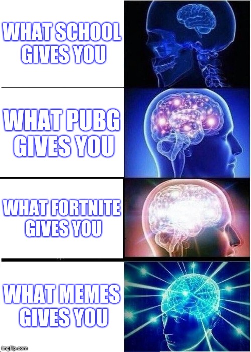 Expanding Brain | WHAT SCHOOL GIVES YOU; WHAT PUBG GIVES YOU; WHAT FORTNITE GIVES YOU; WHAT MEMES GIVES YOU | image tagged in memes,expanding brain | made w/ Imgflip meme maker
