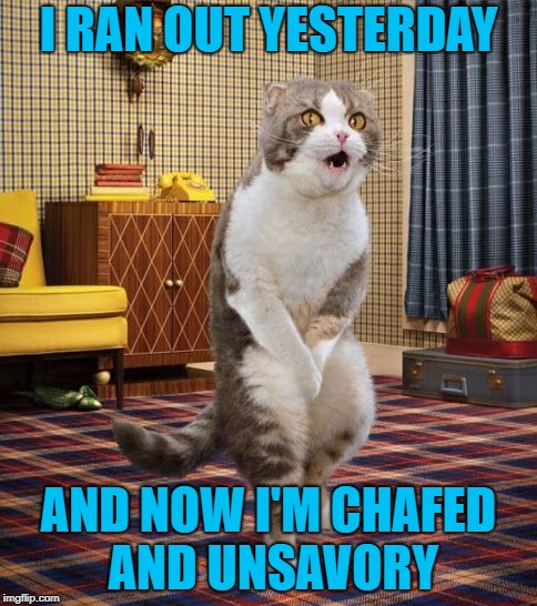 I RAN OUT YESTERDAY AND NOW I'M CHAFED AND UNSAVORY | made w/ Imgflip meme maker