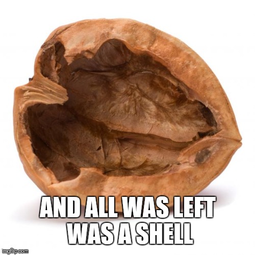 Nutshell | AND ALL WAS LEFT WAS A SHELL | image tagged in nutshell | made w/ Imgflip meme maker