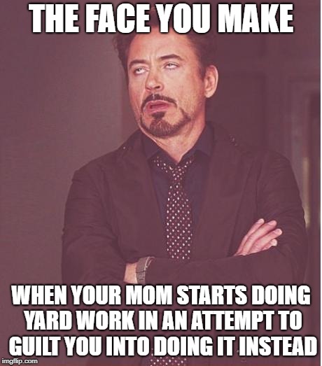 Face You Make Robert Downey Jr | THE FACE YOU MAKE; WHEN YOUR MOM STARTS DOING YARD WORK IN AN ATTEMPT TO GUILT YOU INTO DOING IT INSTEAD | image tagged in memes,face you make robert downey jr | made w/ Imgflip meme maker