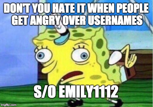 Mocking Spongebob Meme | DON'T YOU HATE IT WHEN PEOPLE GET ANGRY OVER USERNAMES; S/O EMILY1112 | image tagged in memes,mocking spongebob | made w/ Imgflip meme maker