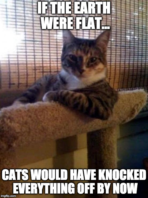The Most Interesting Cat In The World Meme | IF THE EARTH WERE FLAT... CATS WOULD HAVE KNOCKED EVERYTHING OFF BY NOW | image tagged in memes,the most interesting cat in the world | made w/ Imgflip meme maker
