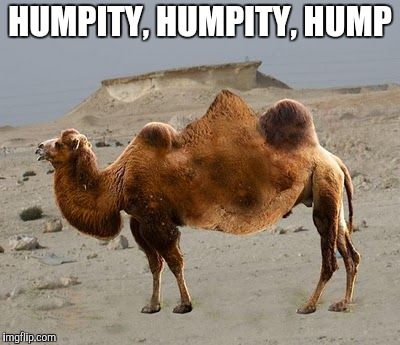 HUMPITY, HUMPITY, HUMP | made w/ Imgflip meme maker