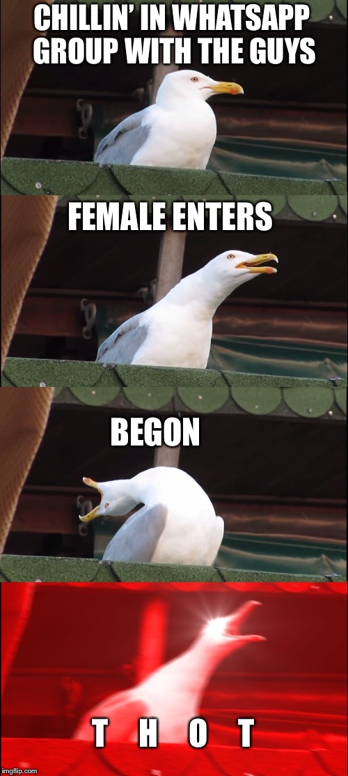 Inhaling Seagull Meme | CHILLIN’ IN WHATSAPP GROUP WITH THE GUYS; FEMALE ENTERS; BEGON; T     H     O     T | image tagged in memes,inhaling seagull | made w/ Imgflip meme maker