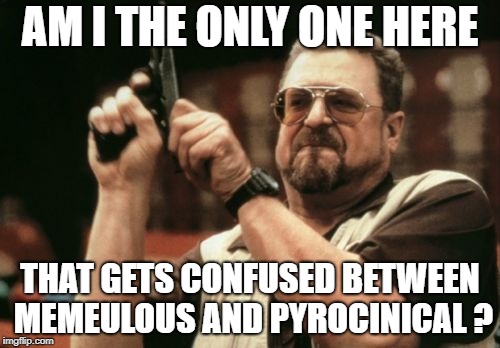 Am I The Only One Around Here | AM I THE ONLY ONE HERE; THAT GETS CONFUSED BETWEEN MEMEULOUS AND PYROCINICAL ? | image tagged in memes,am i the only one around here | made w/ Imgflip meme maker