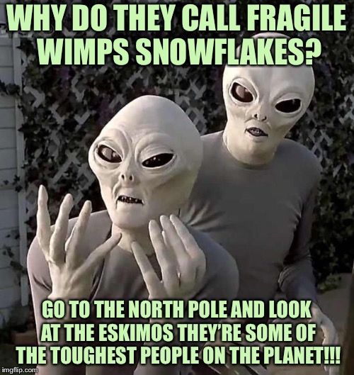"This Is Why" Aliens | WHY DO THEY CALL FRAGILE WIMPS SNOWFLAKES? GO TO THE NORTH POLE AND LOOK AT THE ESKIMOS THEY’RE SOME OF THE TOUGHEST PEOPLE ON THE PLANET!!! | image tagged in this is why aliens | made w/ Imgflip meme maker