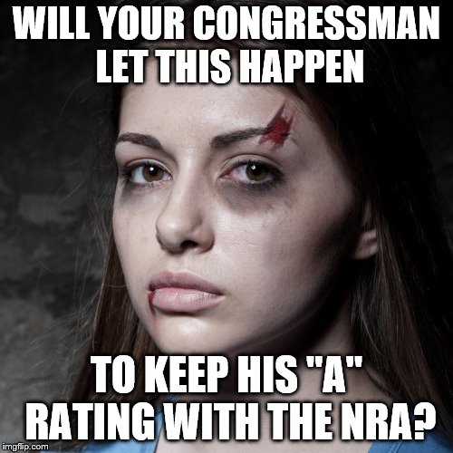 Violence Against Women Act Reauthorization | WILL YOUR CONGRESSMAN LET THIS HAPPEN; TO KEEP HIS "A" RATING WITH THE NRA? | image tagged in congress,republican | made w/ Imgflip meme maker