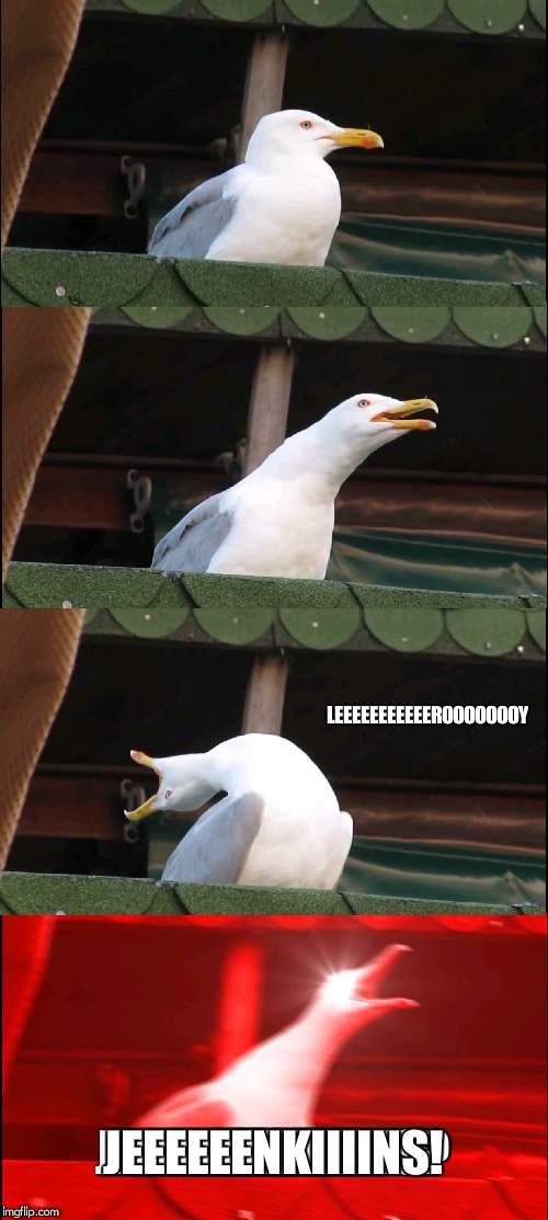 Ok listen i know this meme is dead, but idc its still good! | LEEEEEEEEEEEROOOOOOOY; JEEEEEENKIIIINS! | image tagged in memes,inhaling seagull | made w/ Imgflip meme maker