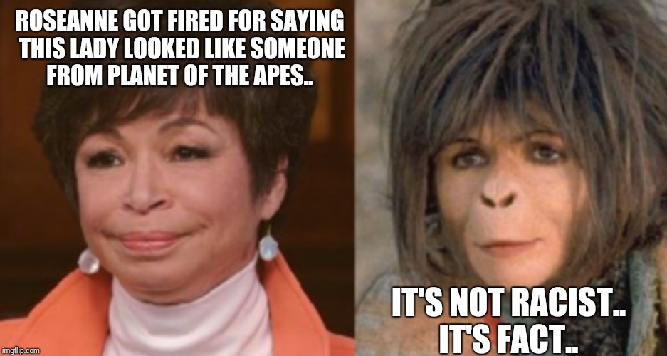 ROSEANNE GOT FIRED FOR SAYING THIS LADY LOOKED LIKE SOMEONE FROM PLANET OF THE APES.. IT'S NOT RACIST.. IT'S FACT.. | image tagged in planet of the apes | made w/ Imgflip meme maker