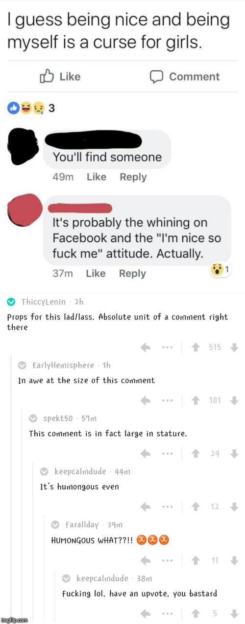 The roasting of a nice guy | image tagged in nice guy,comments,memes,funny | made w/ Imgflip meme maker
