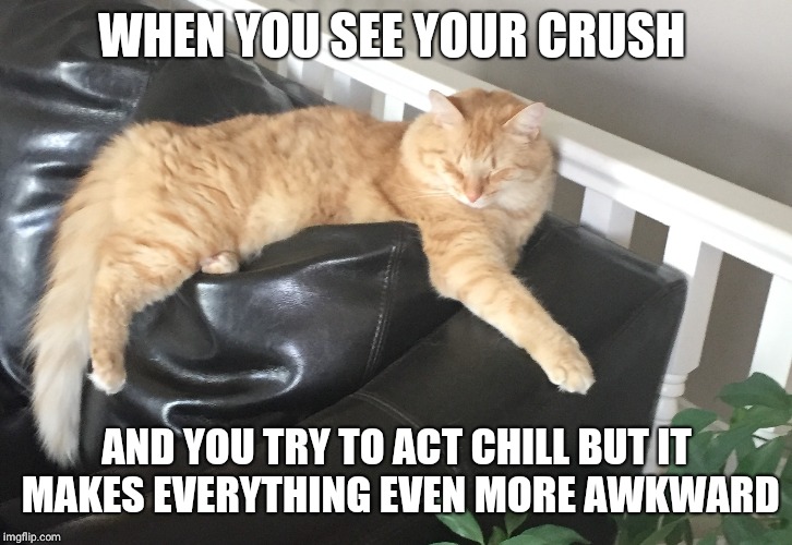 awkward moments | WHEN YOU SEE YOUR CRUSH; AND YOU TRY TO ACT CHILL BUT IT MAKES EVERYTHING EVEN MORE AWKWARD | image tagged in when,you,see,your,crush | made w/ Imgflip meme maker