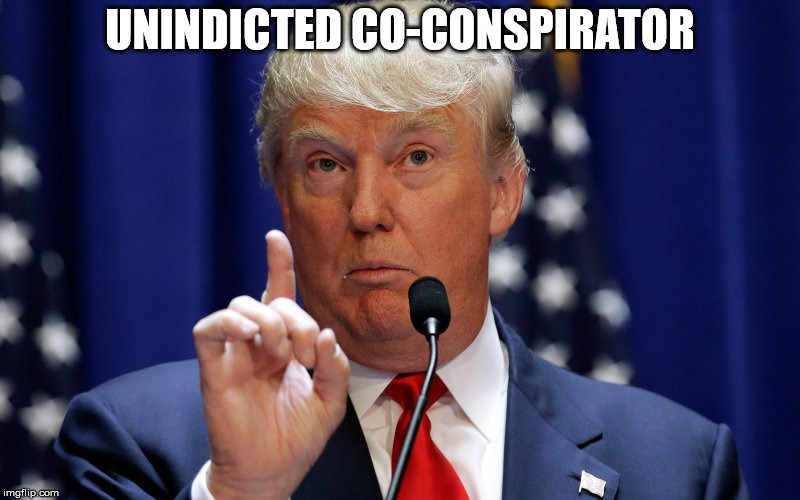 Donald Trump | UNINDICTED CO-CONSPIRATOR | image tagged in donald trump | made w/ Imgflip meme maker