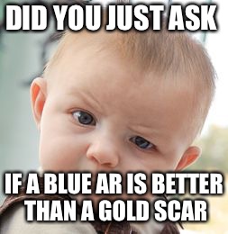 Skeptical Baby Meme | DID YOU JUST ASK; IF A BLUE AR IS BETTER THAN A GOLD SCAR | image tagged in memes,skeptical baby | made w/ Imgflip meme maker