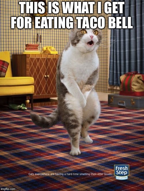 Gotta Go Cat | THIS IS WHAT I GET FOR EATING TACO BELL | image tagged in memes,gotta go cat | made w/ Imgflip meme maker