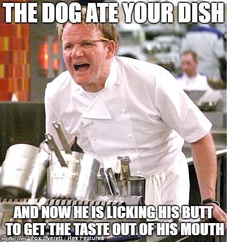 Chef Gordon Ramsay Meme | THE DOG ATE YOUR DISH; AND NOW HE IS LICKING HIS BUTT TO GET THE TASTE OUT OF HIS MOUTH | image tagged in memes,chef gordon ramsay | made w/ Imgflip meme maker