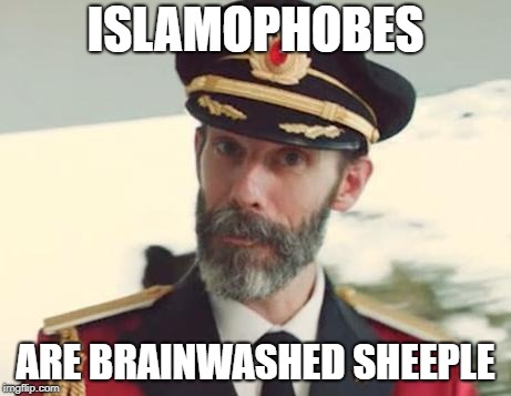 Islamophobes Are Brainwashed Sheeple | ISLAMOPHOBES; ARE BRAINWASHED SHEEPLE | image tagged in captain obvious,islamophobia,brainwashing,brainwashed,sheeple | made w/ Imgflip meme maker