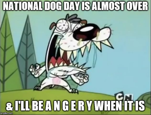 A N G E R Y D O G | NATIONAL DOG DAY IS ALMOST OVER; & I'LL BE A N G E R Y WHEN IT IS | image tagged in a n g e r y d o g | made w/ Imgflip meme maker