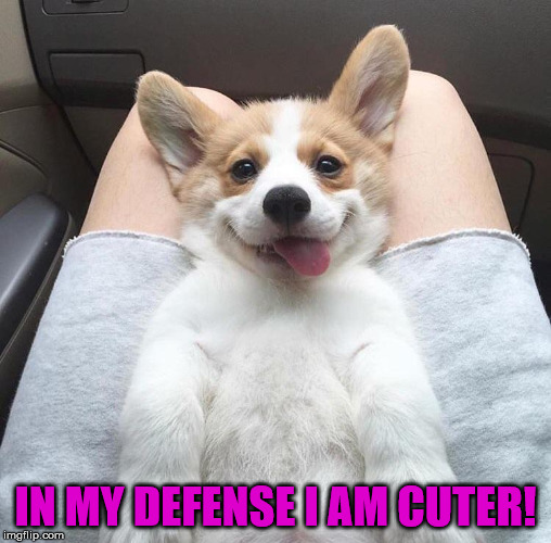 IN MY DEFENSE I AM CUTER! | made w/ Imgflip meme maker